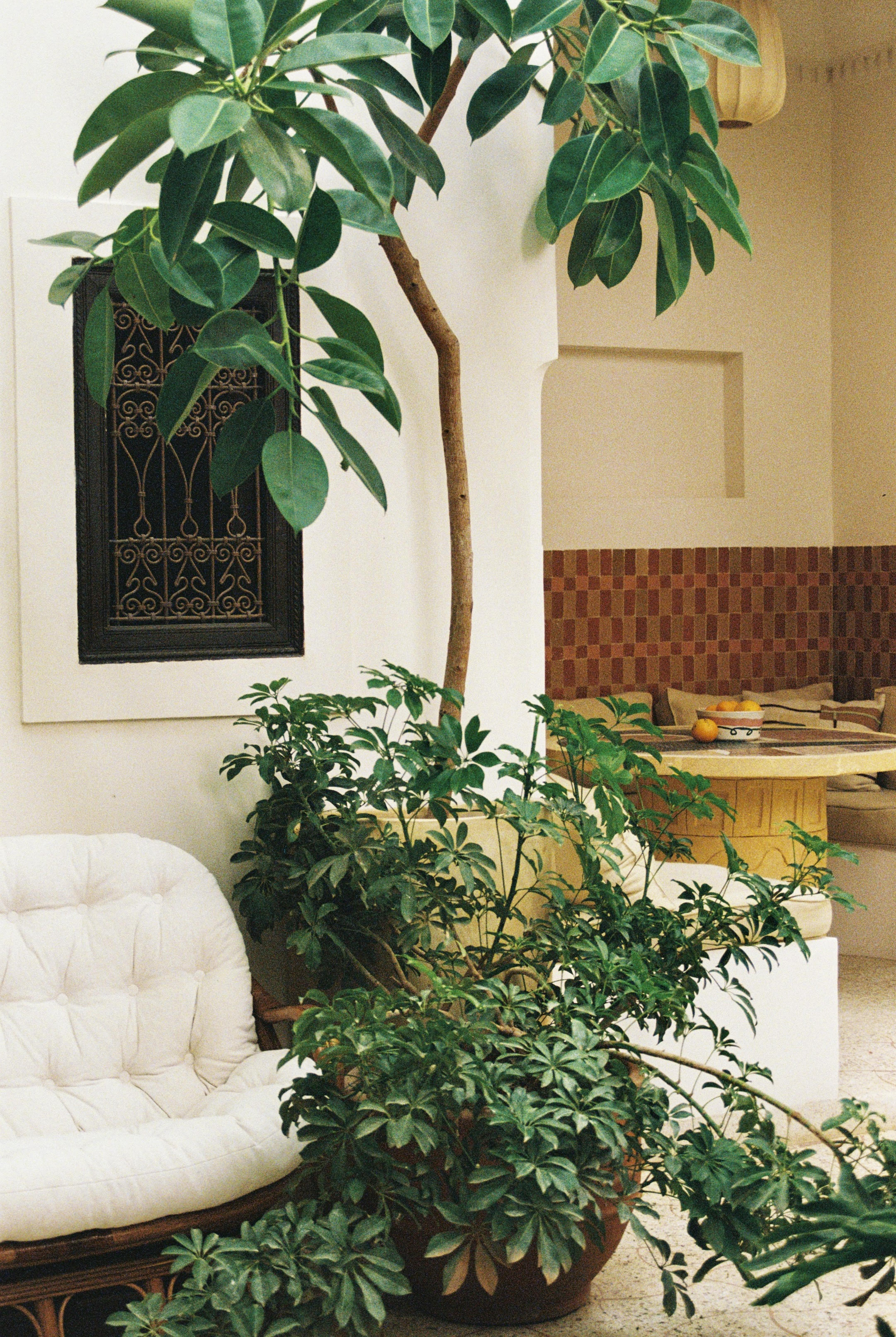 Rosemary Marrakech — photo 2